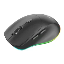 ماوس بی سیم گیمینگ زیچر RIGEL